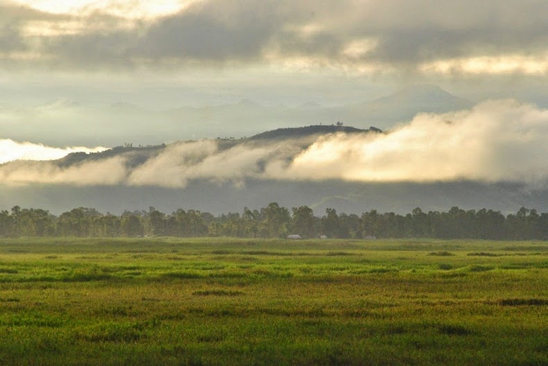 keibul-lamjao-national-park-1