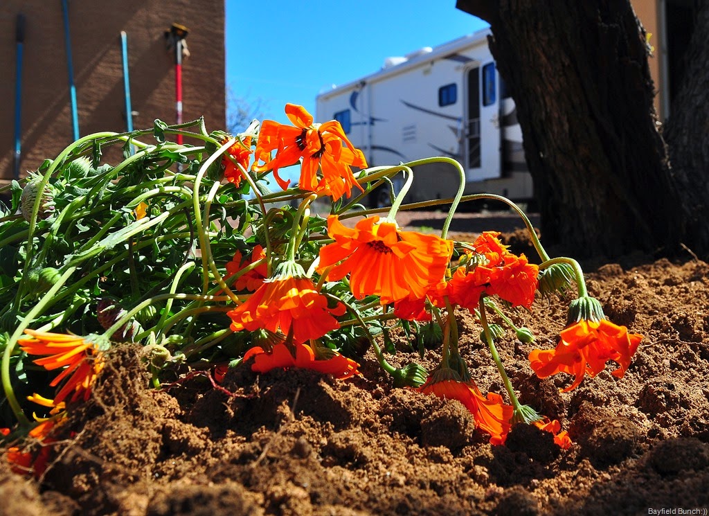 [DSC_0014%255B3%255D.jpg]