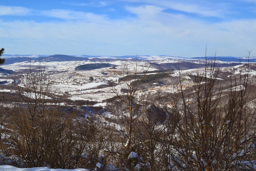 [DSC_14843.jpg]