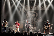 Zebrahead
