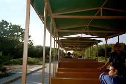 Reise nach Mexiko - 22