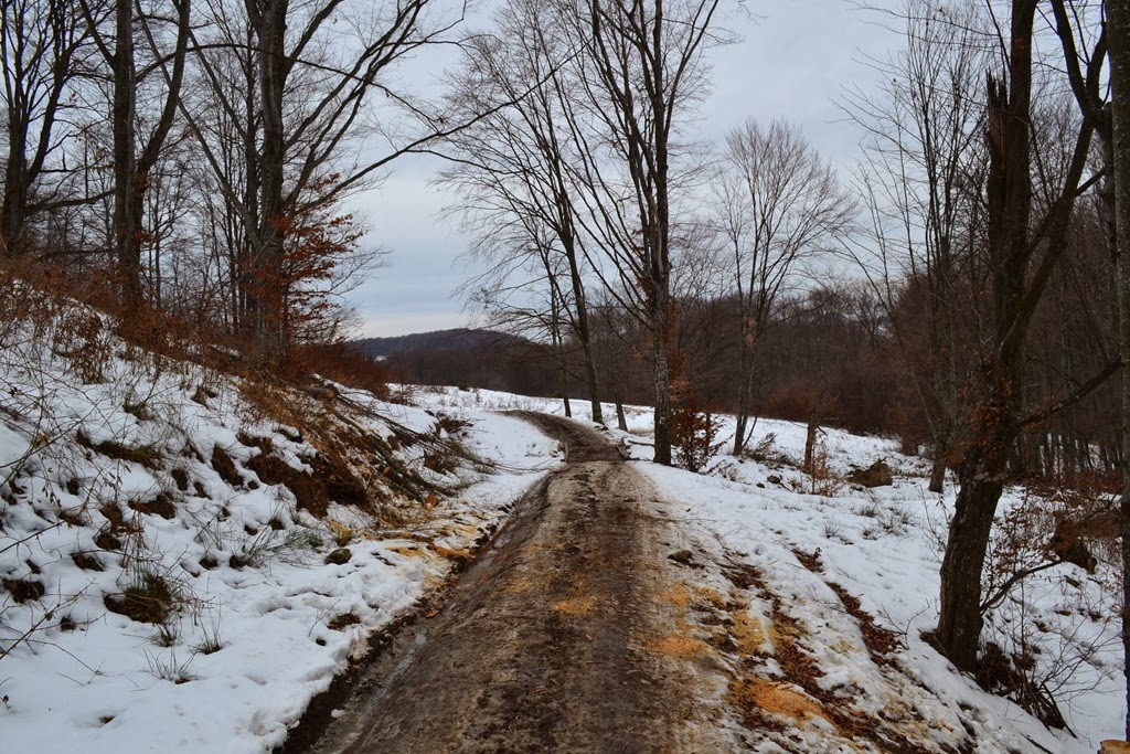 [DSC_22913.jpg]
