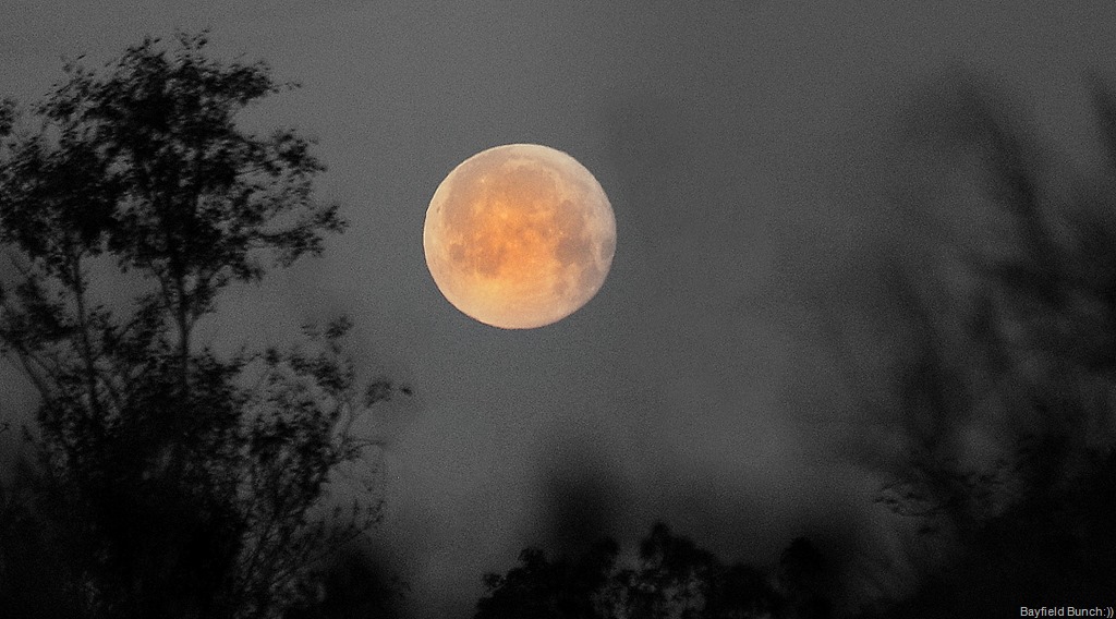 [DSC_1258%255B10%255D.jpg]