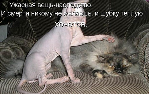 [866424%255B3%255D.jpg]