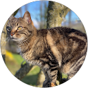 Sylvie M profile picture