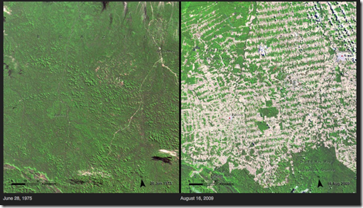 Deforestación - Brasil