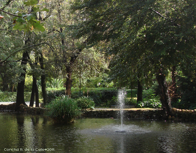 Parque de María Luisa - Nvbre 2011- Isleta pajáros (2).jpg