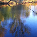 Etang de Civrieux photo #626