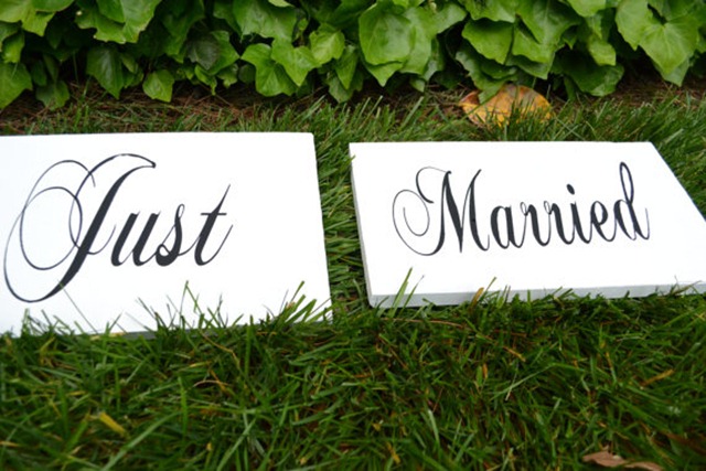 STEP just married signs for photos