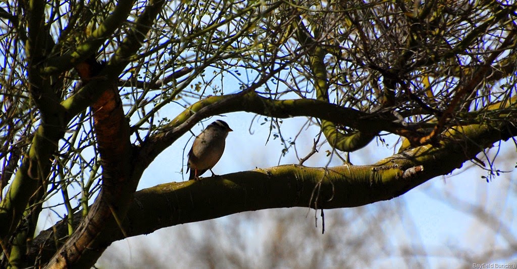 [DSC_2925%255B3%255D.jpg]