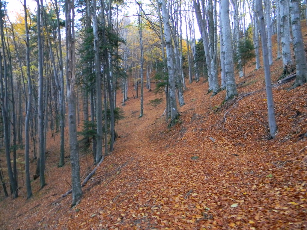 [DSCN90853.jpg]