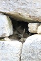 IMG_4517 IMG_4517