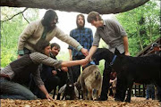 Fleet Foxes