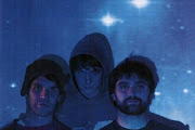 Animal Collective