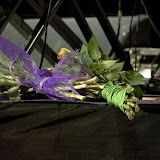 P1380547wtmk.jpg