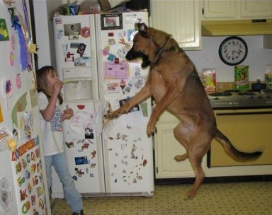 [2002%255B2%255D.jpg]