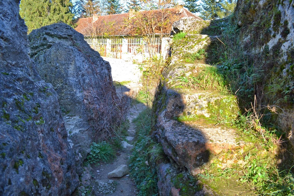 [DSC_02263.jpg]