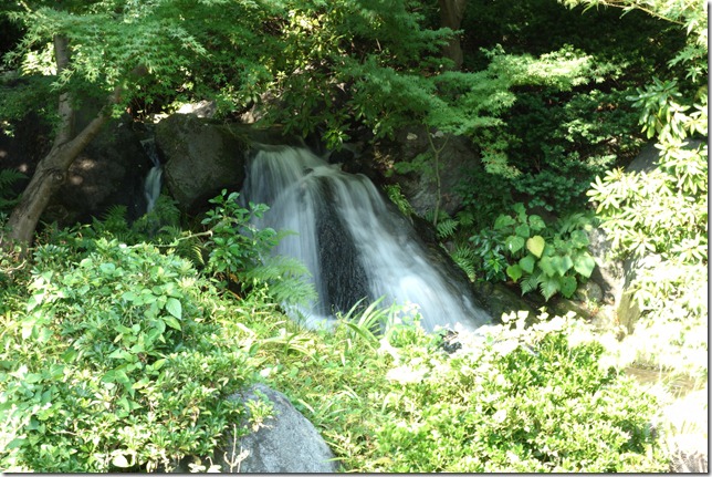 r-DSC00987 r-DSC00987