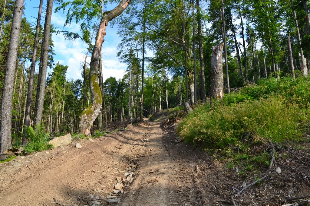 [DSC_85903.jpg]