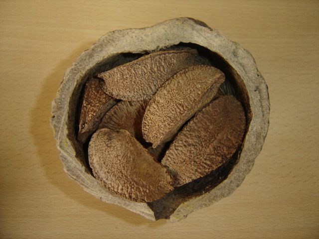 [Castanha%2520do%2520Para%2520%252810%2529%255B3%255D.jpg]