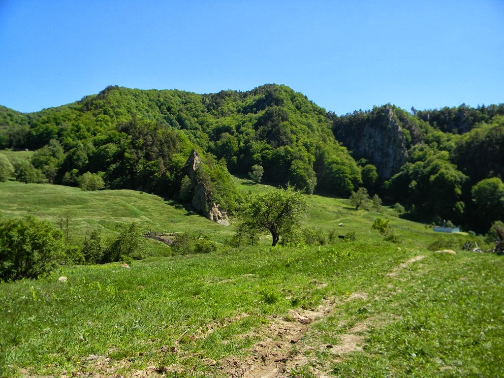 [DSCN91773.jpg]