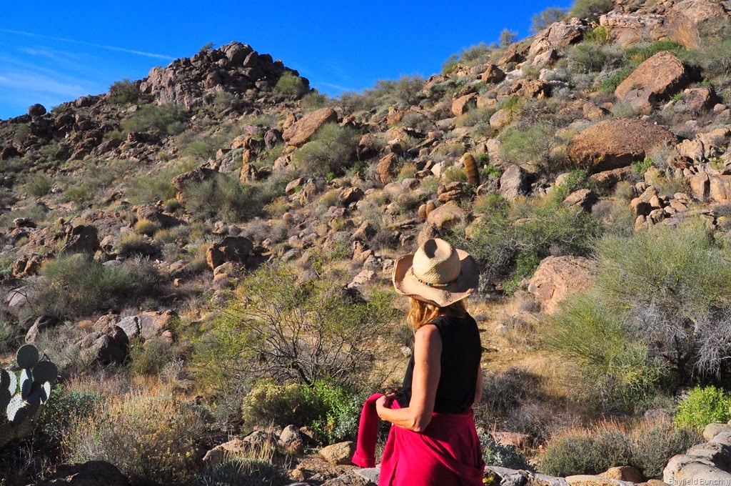 [DSC_0003%255B4%255D.jpg]