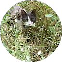 Image Google de christel chaine