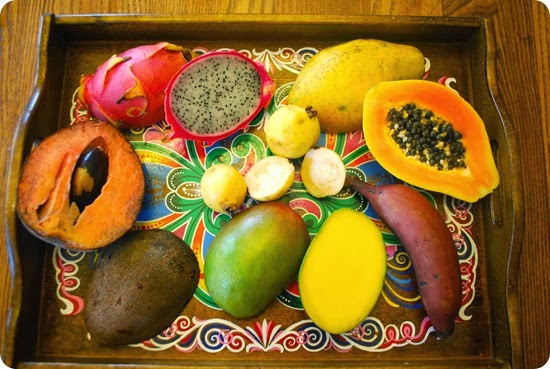 cucina panamense cucina panamense