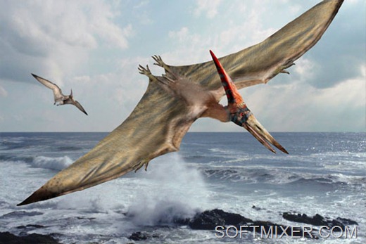 [pteranodon%255B3%255D.jpg]
