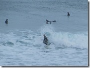 IMG_6619 IMG_6619