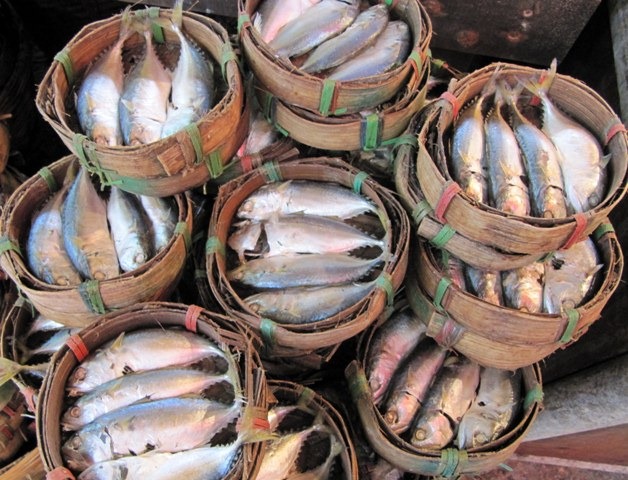 [11%2520Fish%2520Sold%2520In%2520Baskets%2520At%2520The%2520Thewet%2520Market%2520In%2520Bangkok%252C%2520Thailand%2520September%25202011%255B2%255D.jpg]