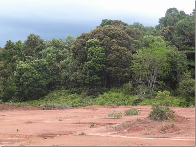 BR-319_Humaita_Manaus_Day_3_DSC05689