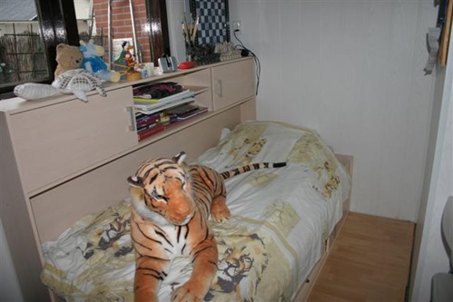 20080905kamer1 (Small)