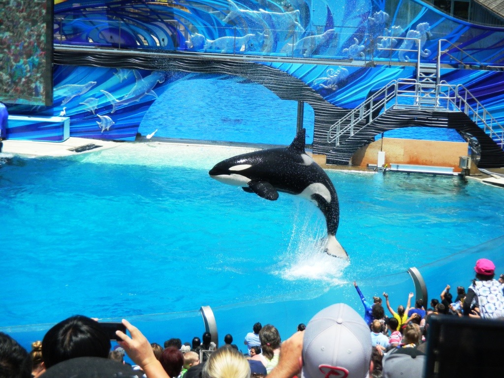 [DSCN4537%2520-%2520Kopie%255B4%255D.jpg]