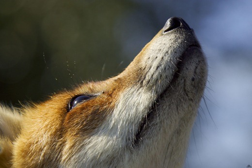 [1248974366_238052045_4e94162953_o%255B2%255D.jpg]