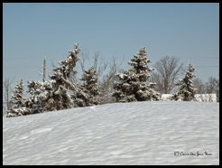 Snow, Winter Wonderland (35)