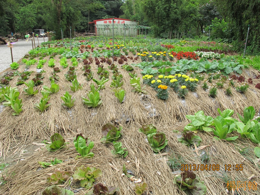 [2013----1054.jpg]