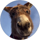 Image Google de Cedric Sene