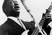 Muddy Waters