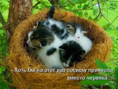 [2a26b689a8ee695051183e52ba7_prev%255B3%255D.jpg]