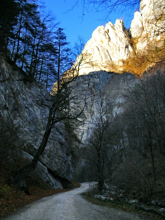 [DSCN14774.jpg]