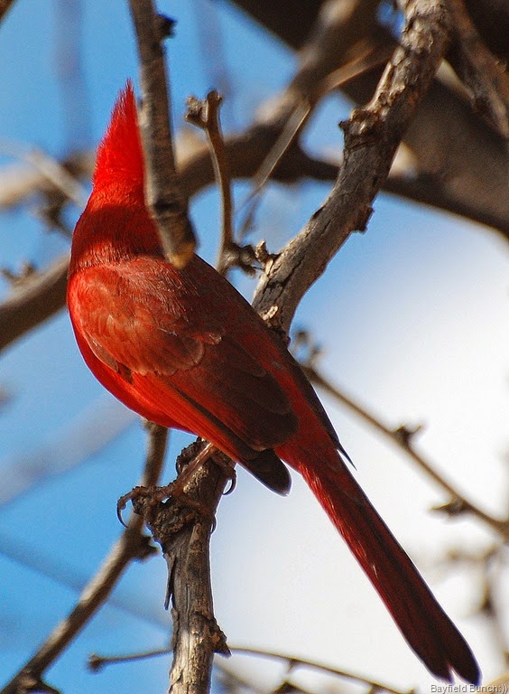 [DSC_3029%255B3%255D.jpg]