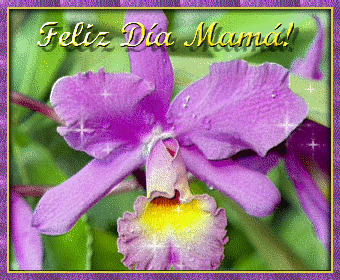GIFS DIA DE LA MADRE (24) GIFS DIA DE LA MADRE (24)