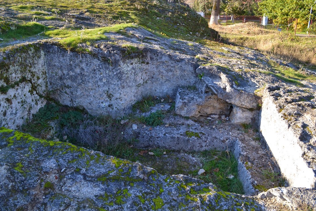 [DSC_02213.jpg]