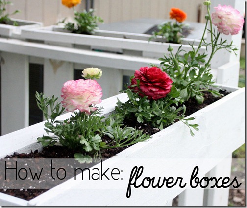 flower boxes graphic