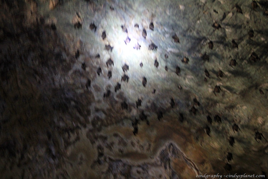 [Langkawi105%255B3%255D.jpg.webp]