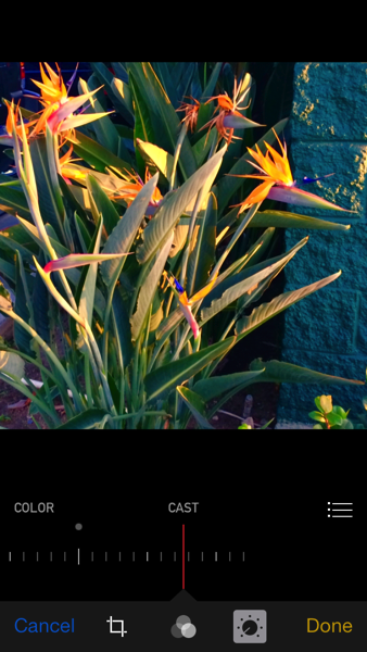 IMG_7955.PNG iOS 8 photos app color cast