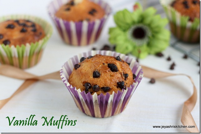 vanilla muffins