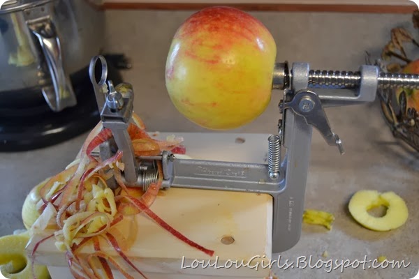 Homemade-Applesauce-Recipe (2)