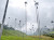 Cocora Valley: The Valley of Palms
